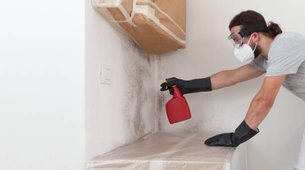 Professional Mold Inspection And Testing technician working in Centreville, IL