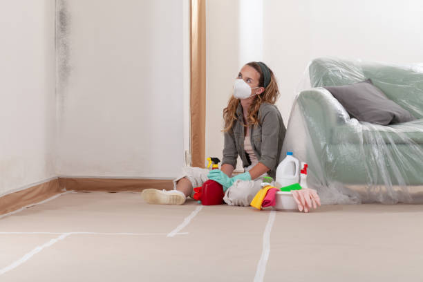 Reliable Mold Inspection And Testing contractor in Centreville, IL by Mold Remediation HQ